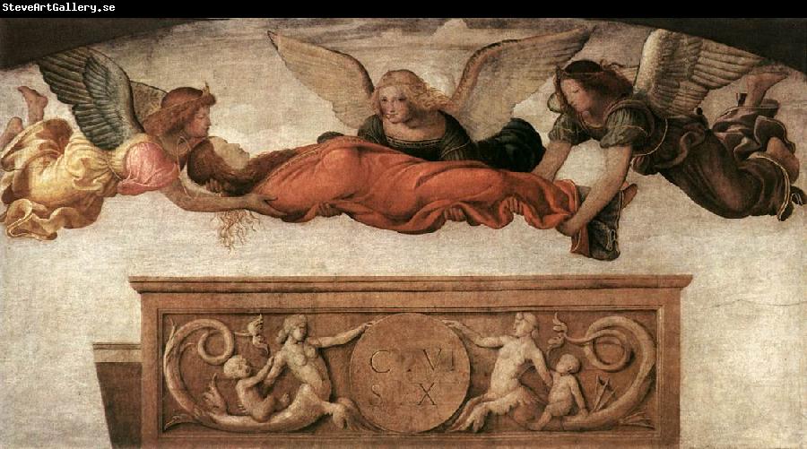 LUINI, Bernardino St Catherine Carried to her Tomb by Angels asg